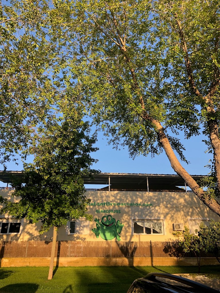 Villanueva Renacuajos