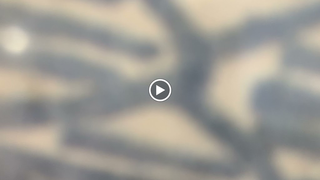 Bikarregui — Videos