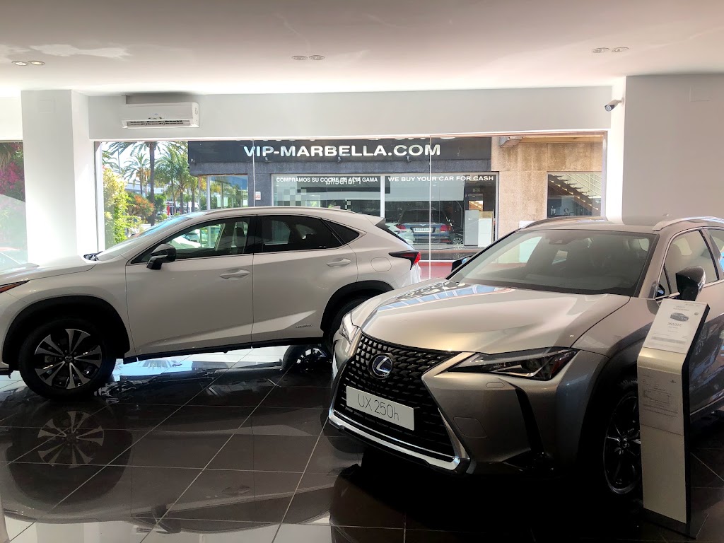 Lexus Marbella — Interior