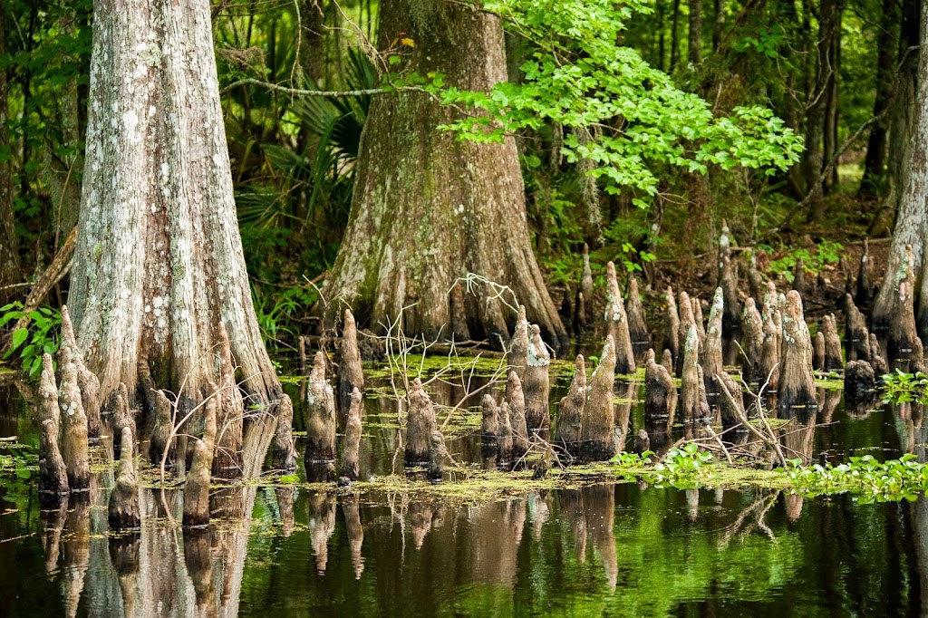Explore Houma