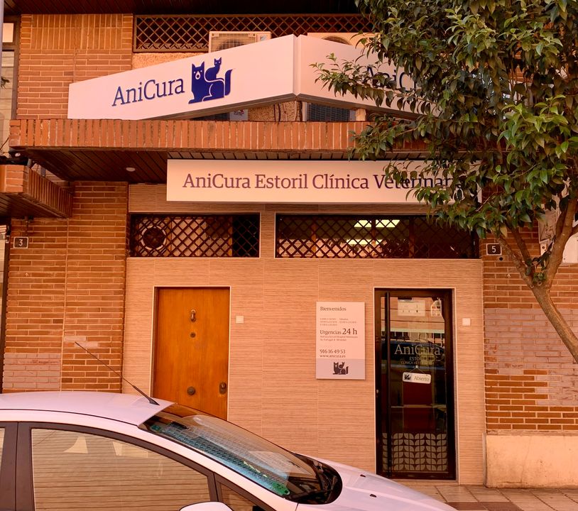 AniCura Estoril Clinica Veterinaria