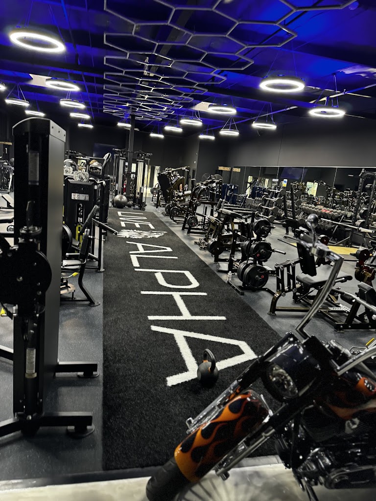  Gorilla Fitness Elite Training