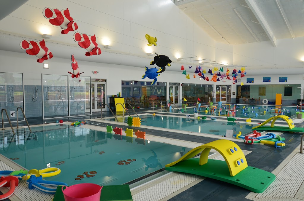  Little Otter Swim School