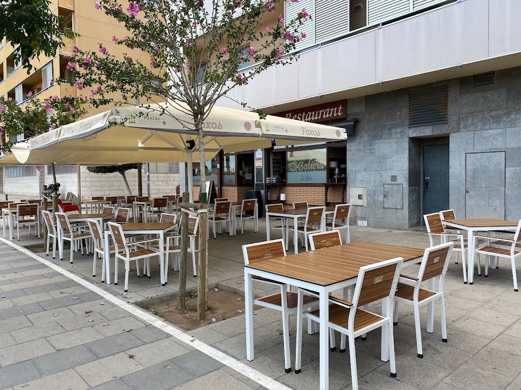 Taberna Foxos Viladecans Cocina Gallega