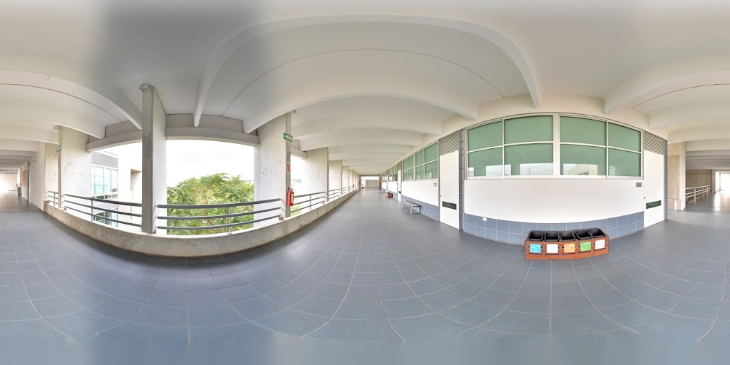 Universidad Marista de Merida A.C. — Del propietario