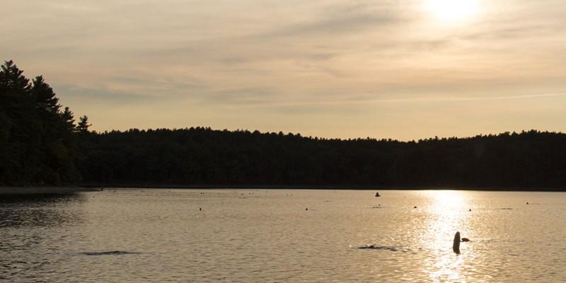 State park in Westfield