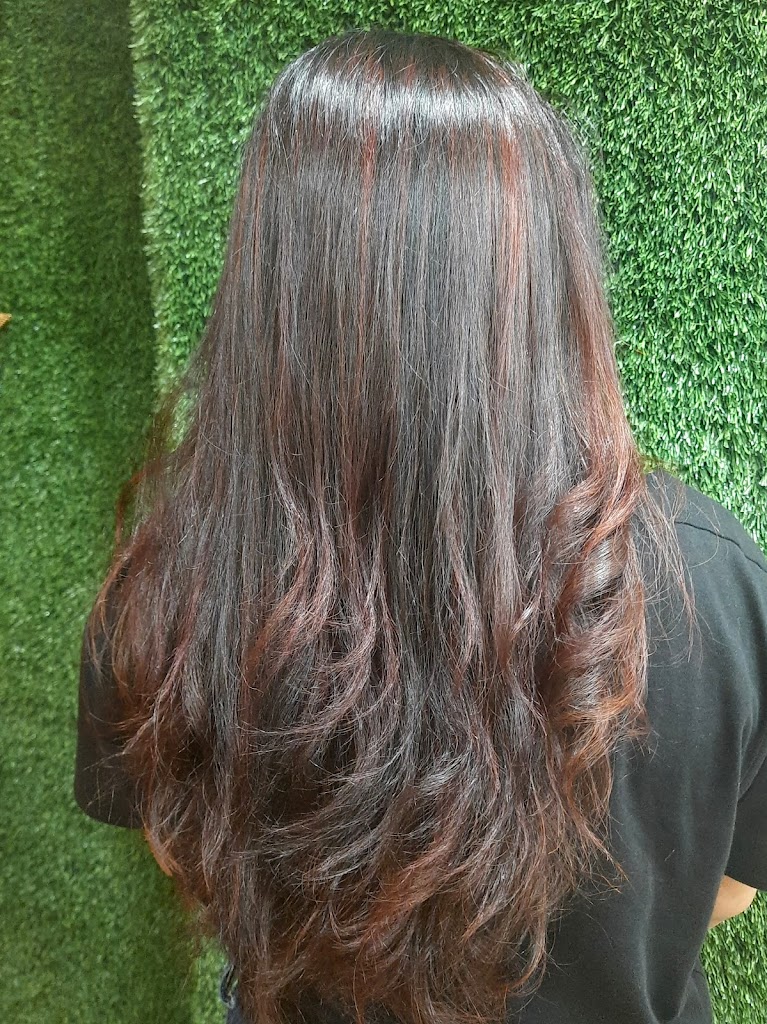 Spalon Professional Beauty Parlour Ladies Kids