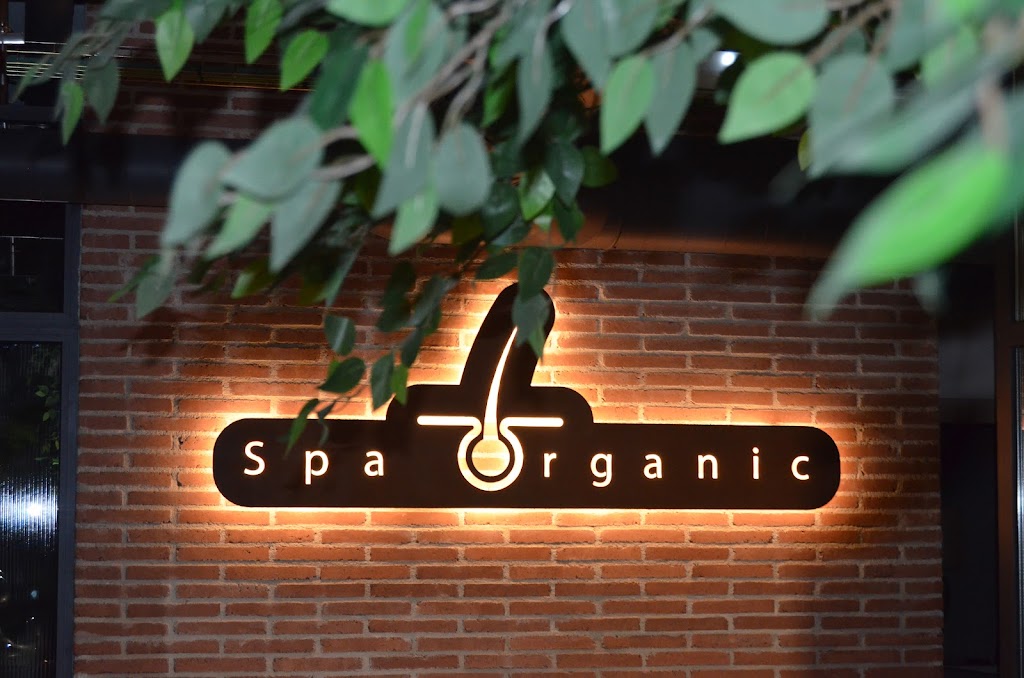 Spa organic salud capilar