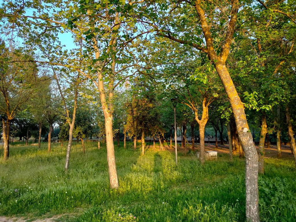 Parque Tierno Galvan