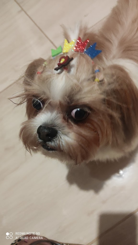 Foto da avaliação