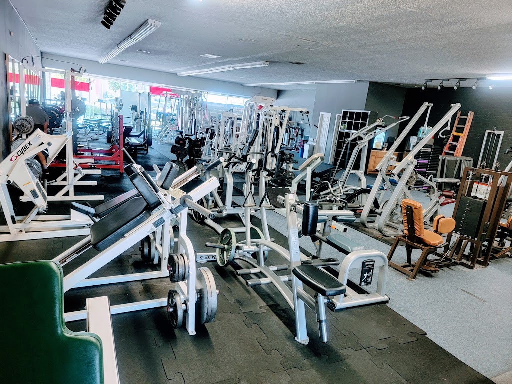  Milad's beach body fitness