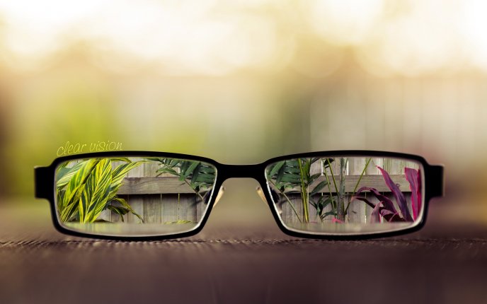 Rajendra Opticians