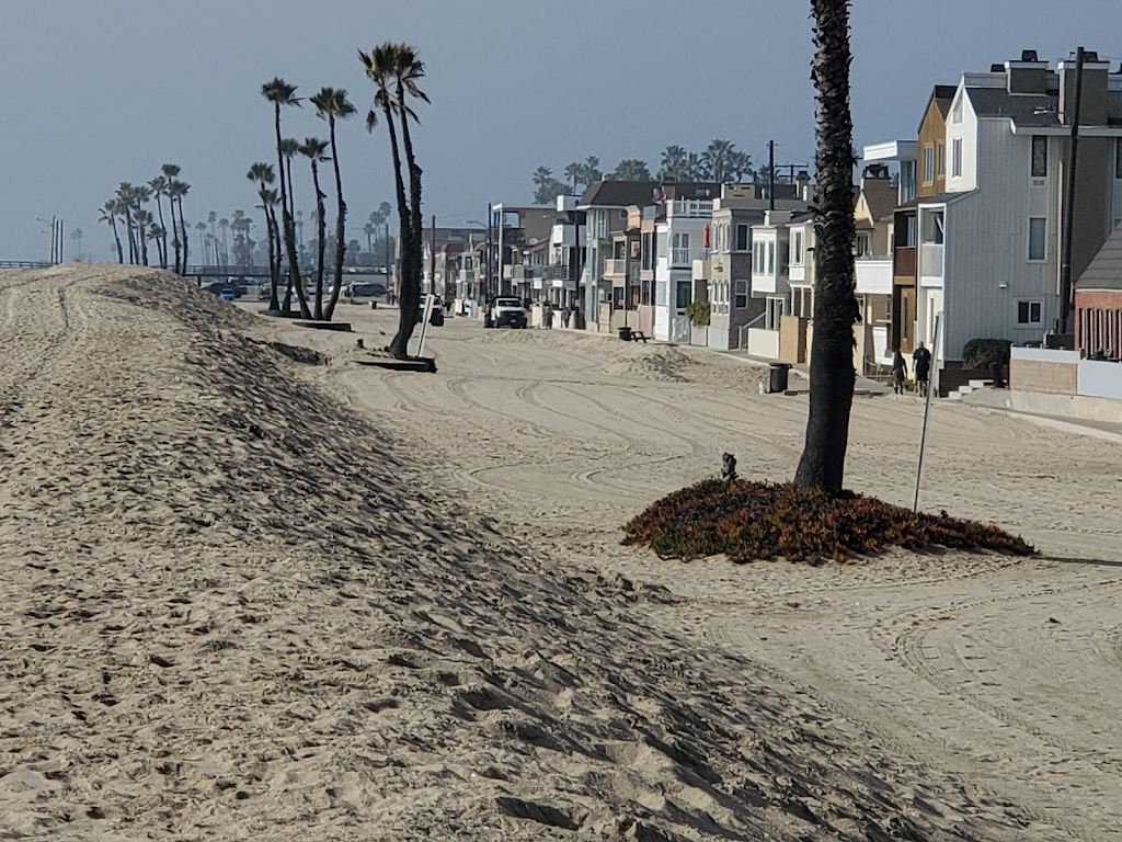 Seo Seal Beach