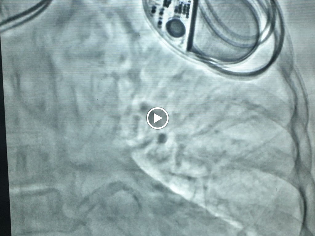 Dr. The Heart And Bone Clinic
