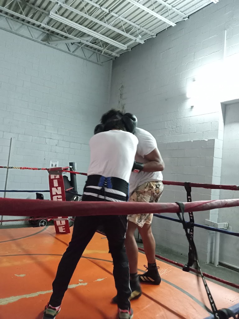  Roughouse Boxing & Fitness MMA