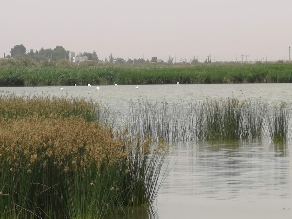Complejo lagunar de Alcazar de San Juan