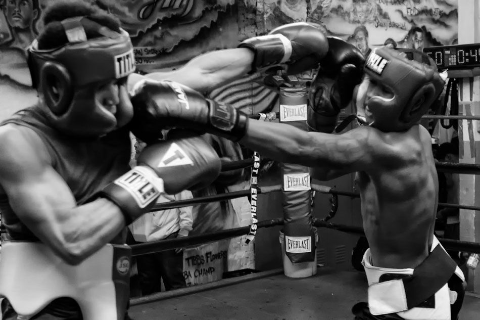  James Shuler Memorial Boxing Gym