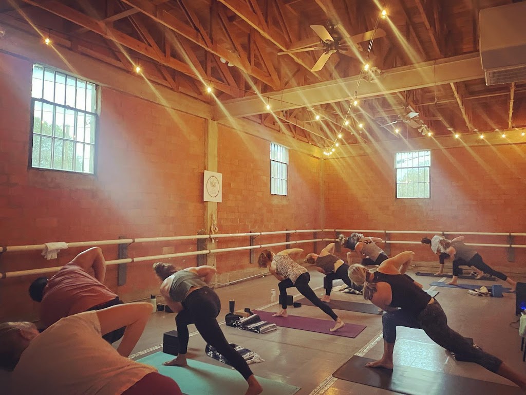  The Wellness Collective