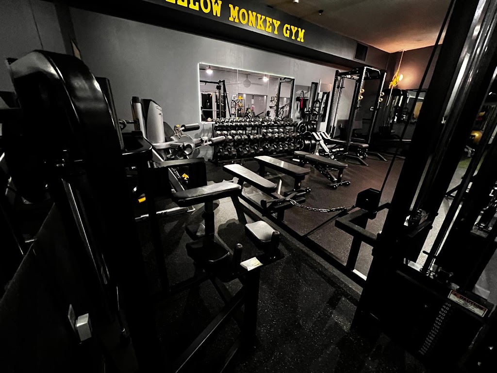  Yellow Monkey Gym