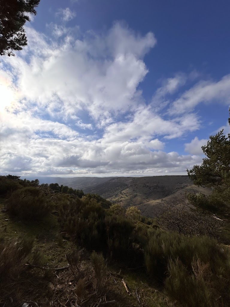 Rutas botanicas