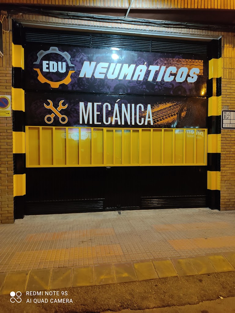 Neumaticos y mecanica Edu