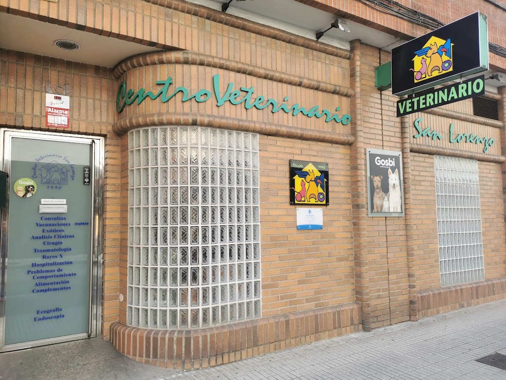 Centro Veterinario San Lorenzo