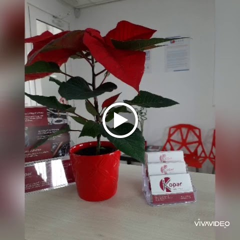 Kopar Automotive — Del propietario