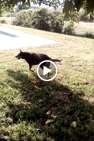 Camino Real de San Antonio — Videos