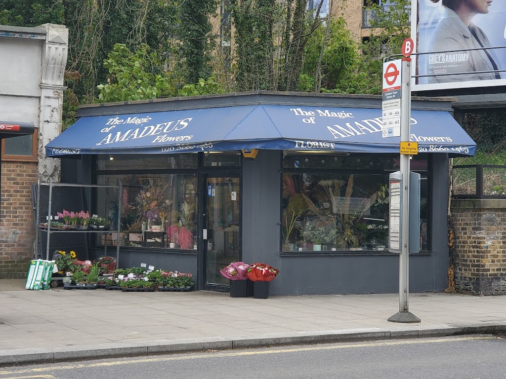 Amadeus Florist