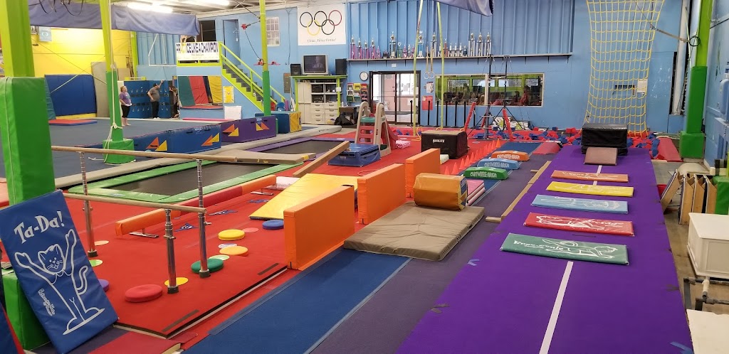  Bozhi's Gym Nest Inc