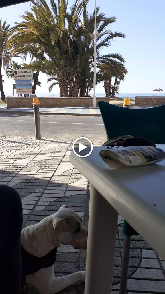 Restaurante Andalucia — Videos