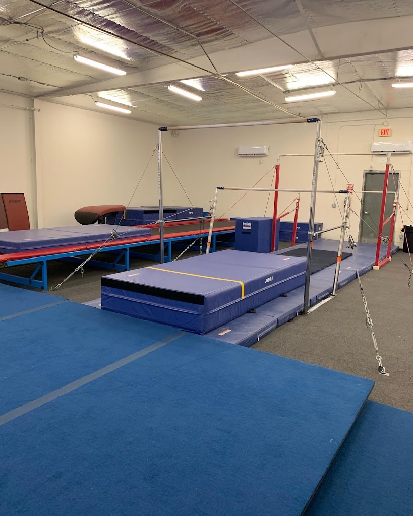  Next Level Gymnastics