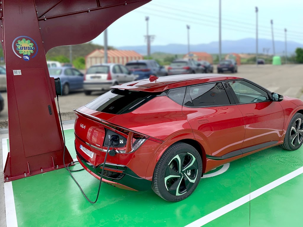 Zinnia Estacion de carga