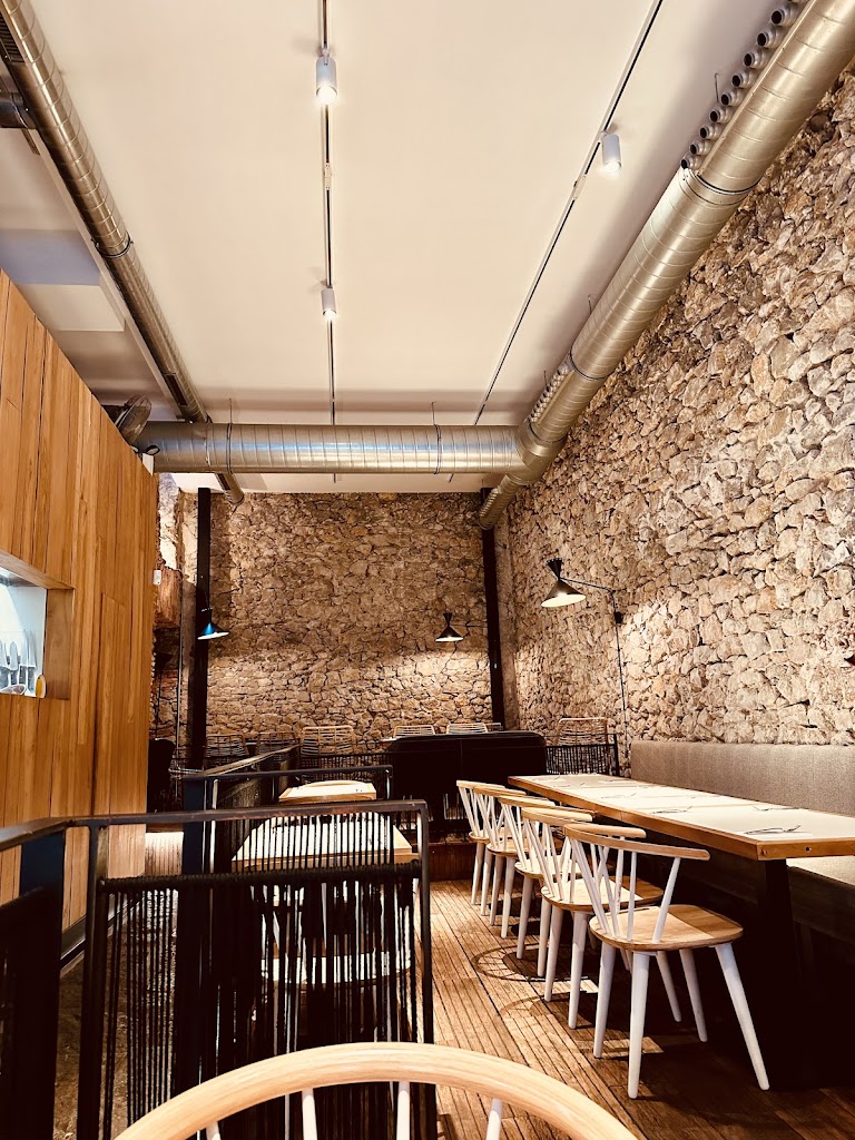 Salvaje Santander — Ambiente