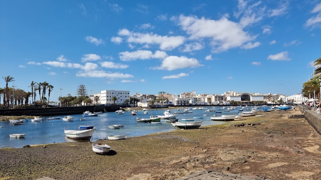 Esqueleto de Ballena