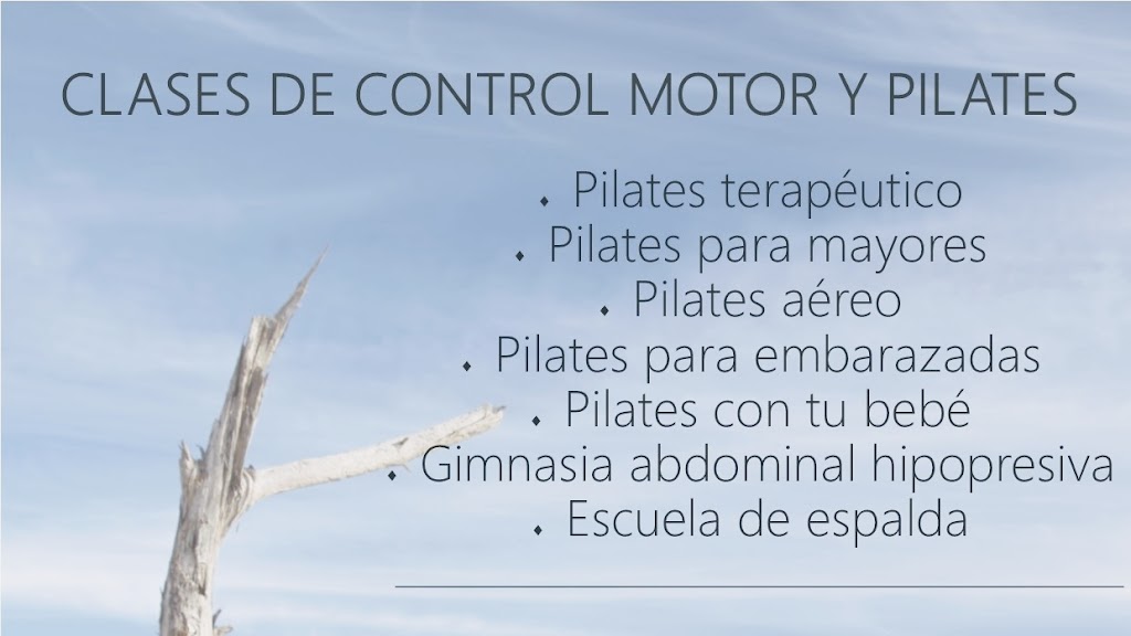 Elisabeth Nevado Pilates Studio Fisioterapeuta