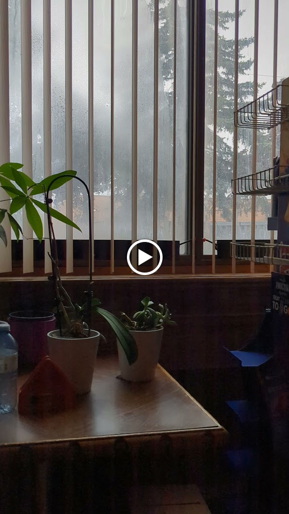 Videos