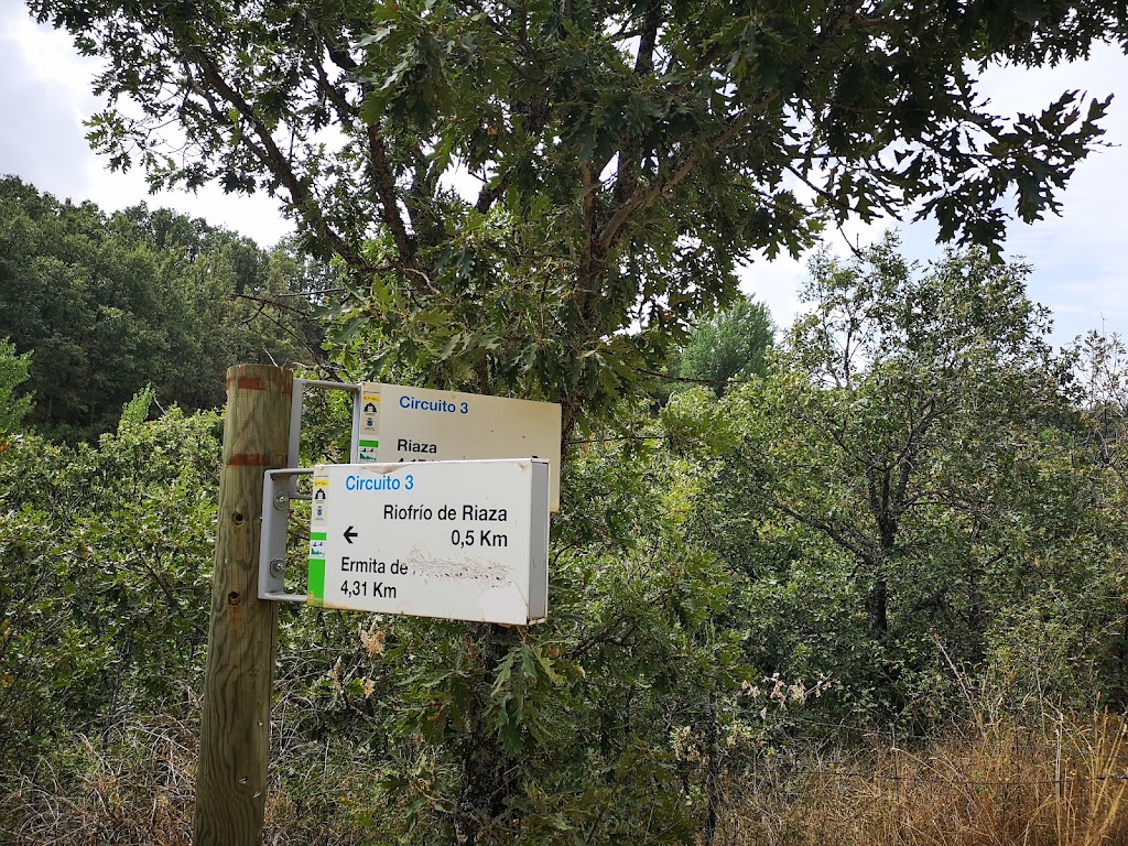 Camino Riofrio de Riaza a Riaza