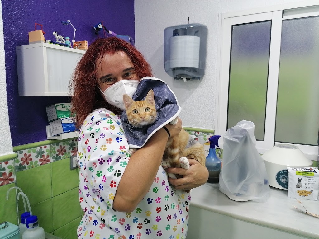Alfafar Veterinaria — Del propietario
