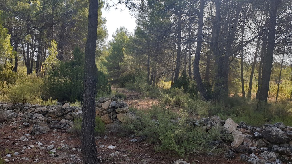 Senda de la alambrada