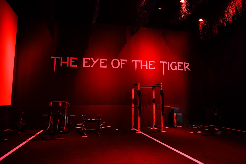  Amped Fitness (Willowbrook)