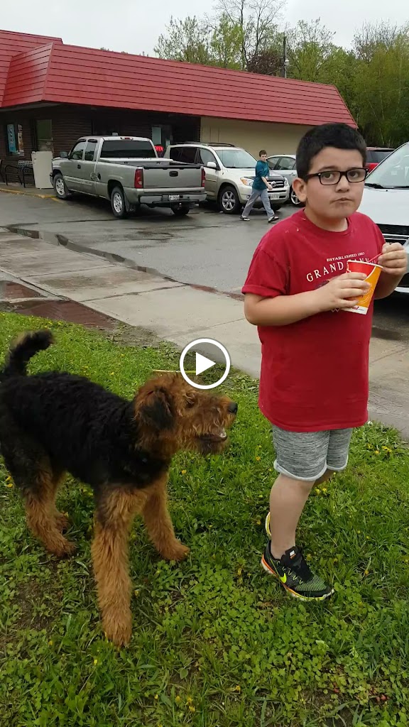 Videos
