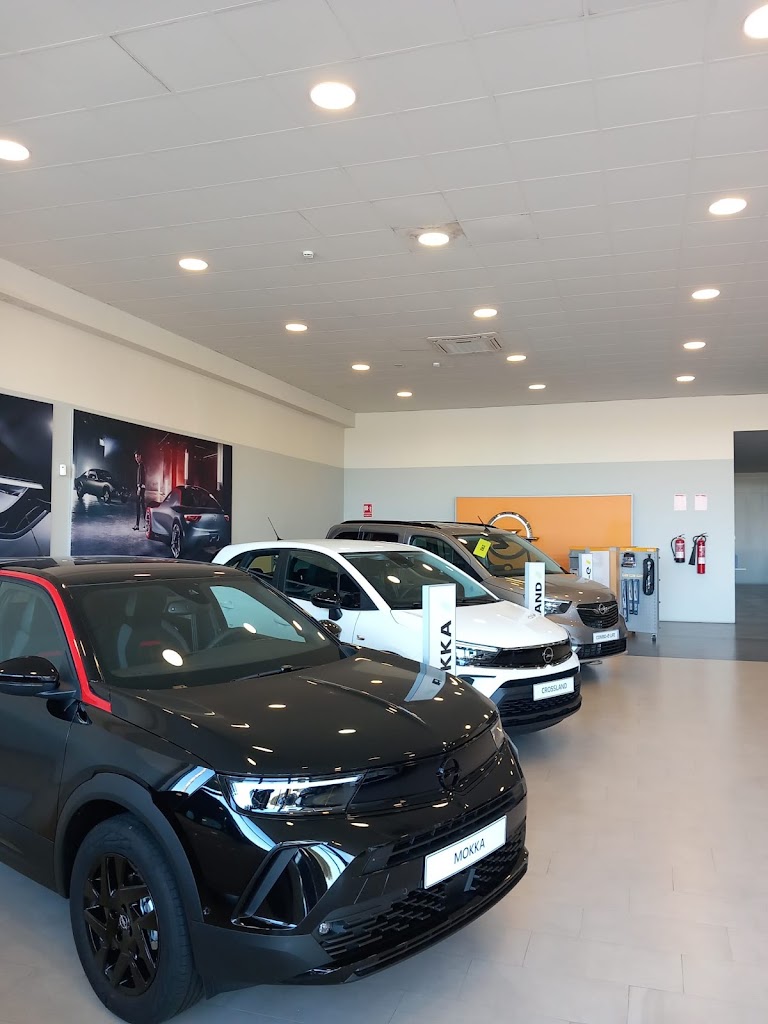 Opel Iceasa Motor - Menorca — Interior
