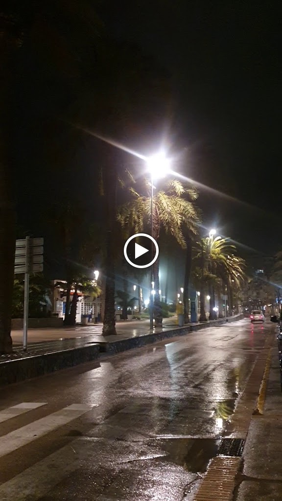 Corazon de Agave — Videos