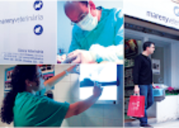 Mareny Veterinaria — Del propietario