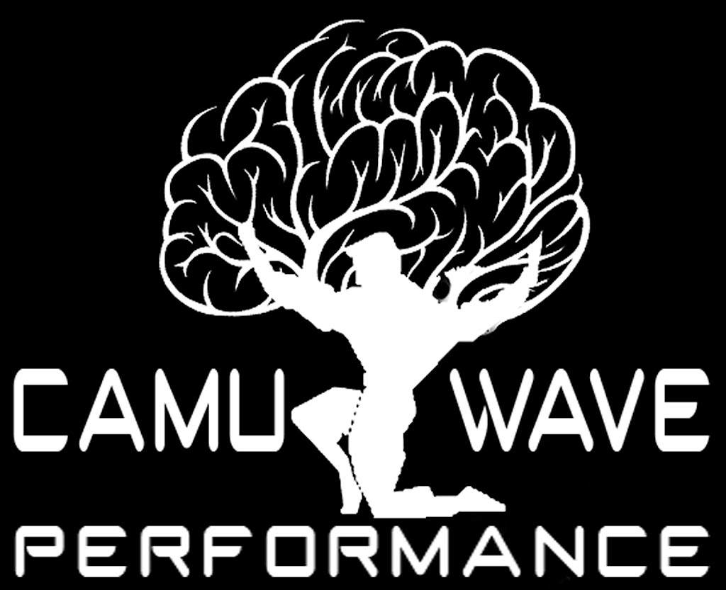  CamuWave Performance