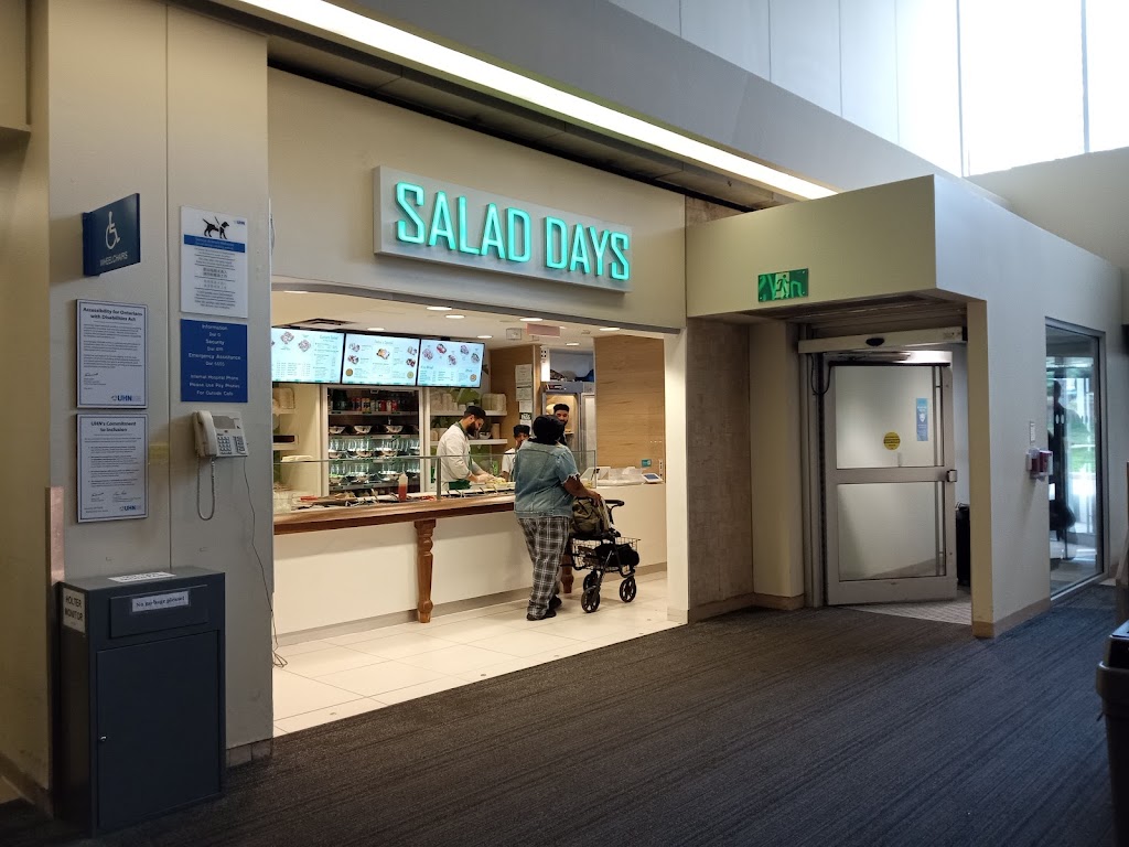 Salad Days