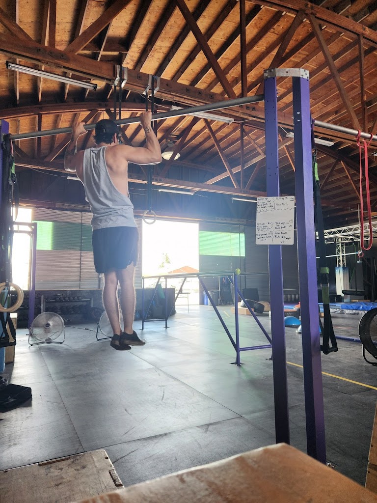  Rise Fitness - Ninja Warrior