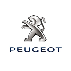 PEUGEOT DURANGO — Del propietario