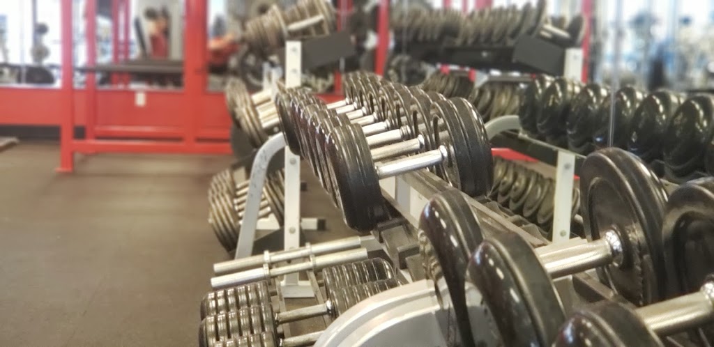  Berserker Strength and Conditioning